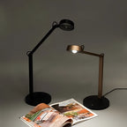 Dual Joint Metal Task Desk Lamp
