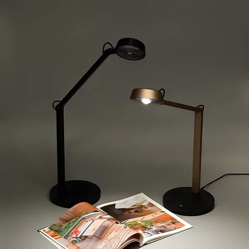 Dual Joint Metal Task Desk Lamp