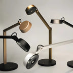 Dual Joint Metal Task Desk Lamp