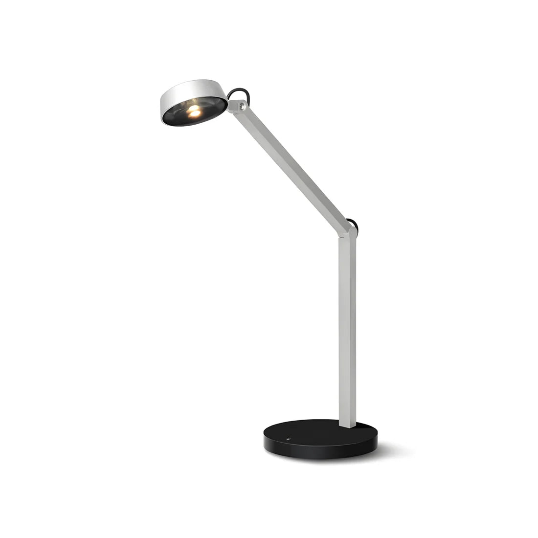 Dual Joint Metal Task Desk Lamp