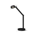 Dual Joint Metal Task Desk Lamp