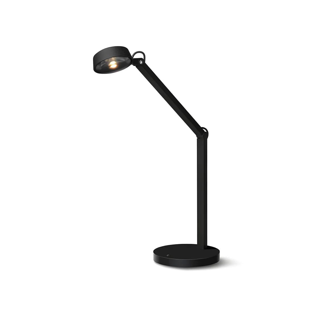 Dual Joint Metal Task Desk Lamp