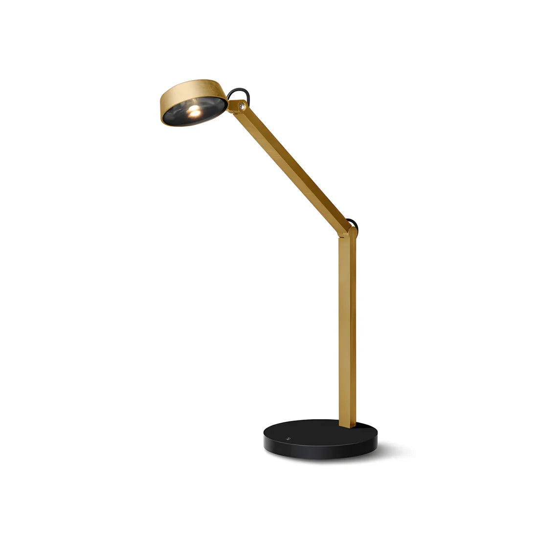 Dual Joint Metal Task Desk Lamp