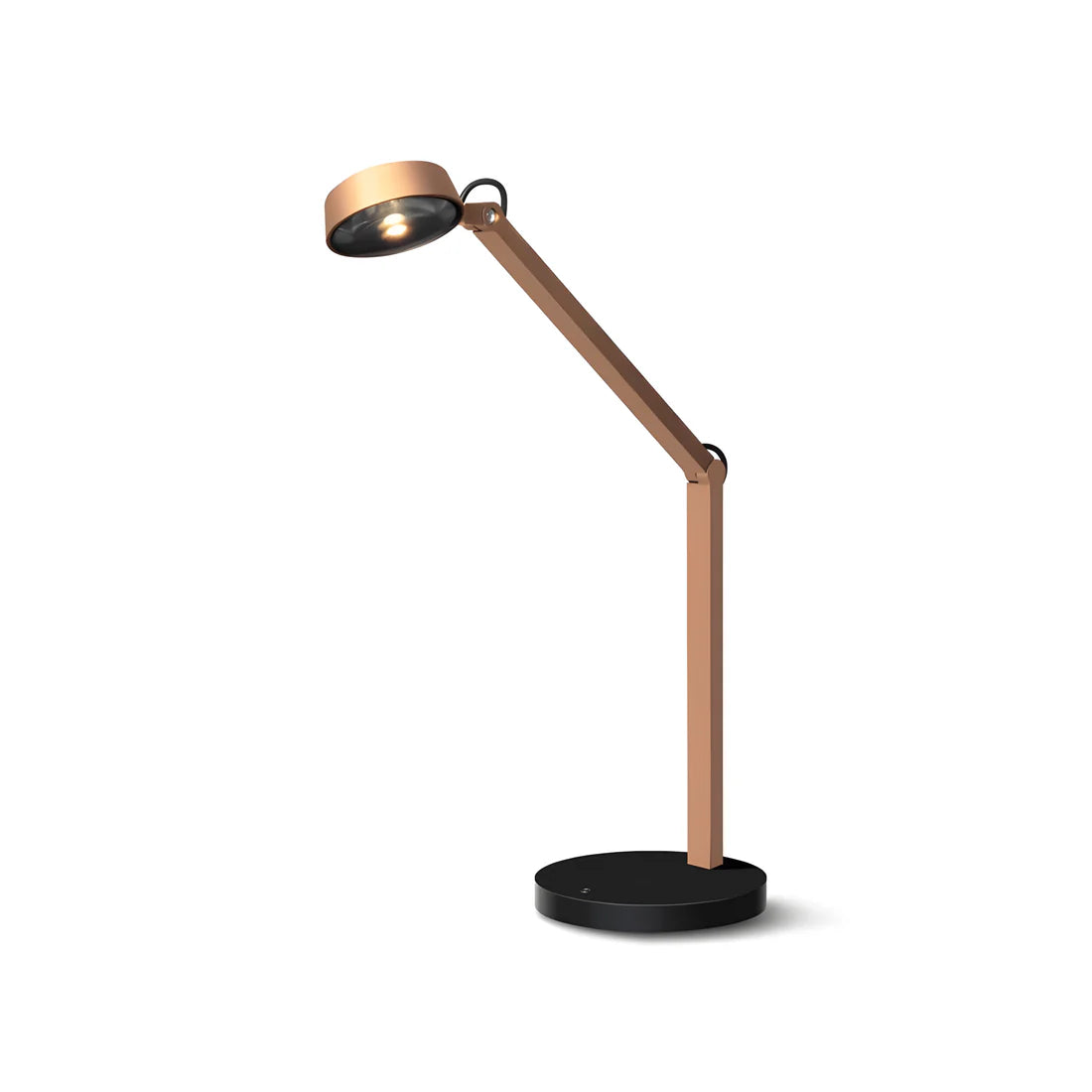 Dual Joint Metal Task Desk Lamp