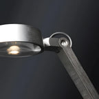 Dual Joint Metal Task Desk Lamp