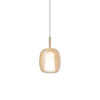 Metallic Capsule Pendant Lamp